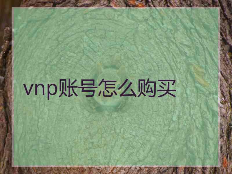 vnp账号怎么购买 vnp账号怎么购买