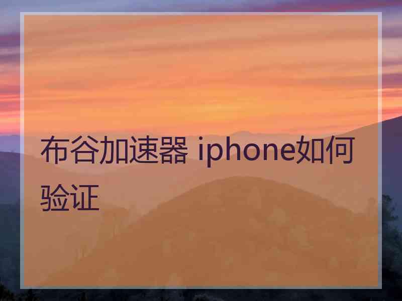 布谷加速器 iphone如何验证 布谷加速器 iphone如何验证