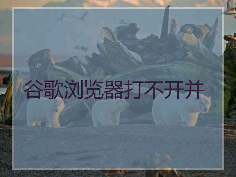 谷歌浏览器打不开并 谷歌浏览器打不开并
