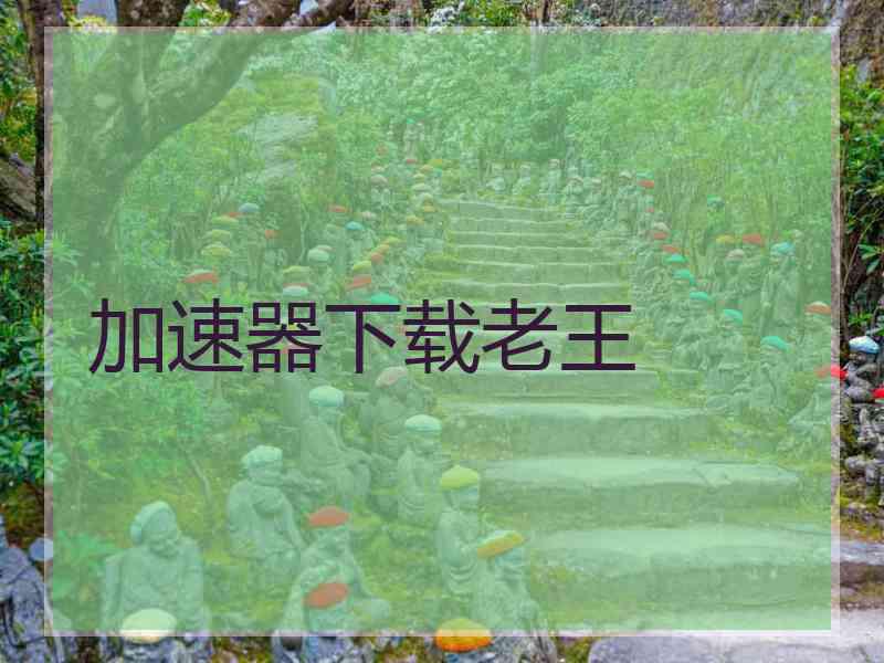 加速器下载老王 加速器下载老王