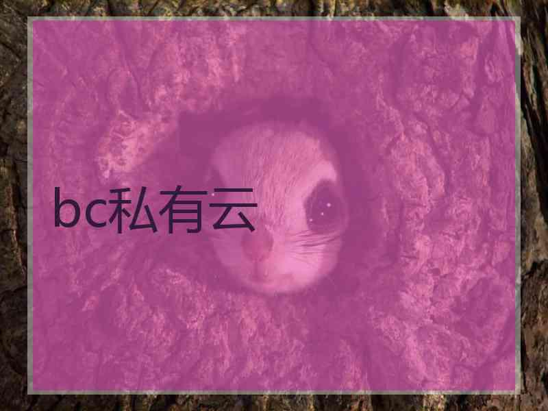 bc私有云 bc私有云