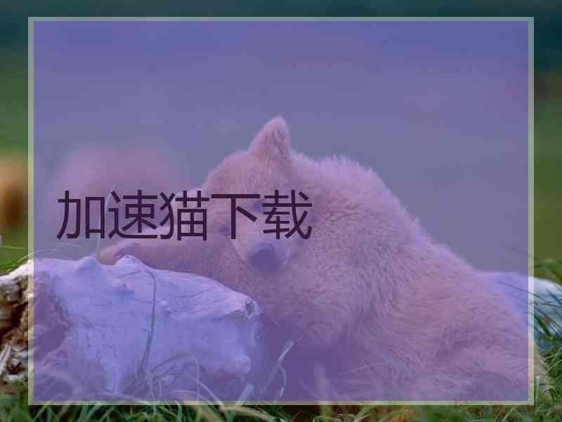 加速猫下载