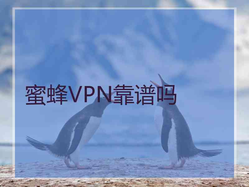 蜜蜂VPN靠谱吗