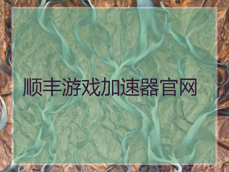 顺丰游戏加速器官网