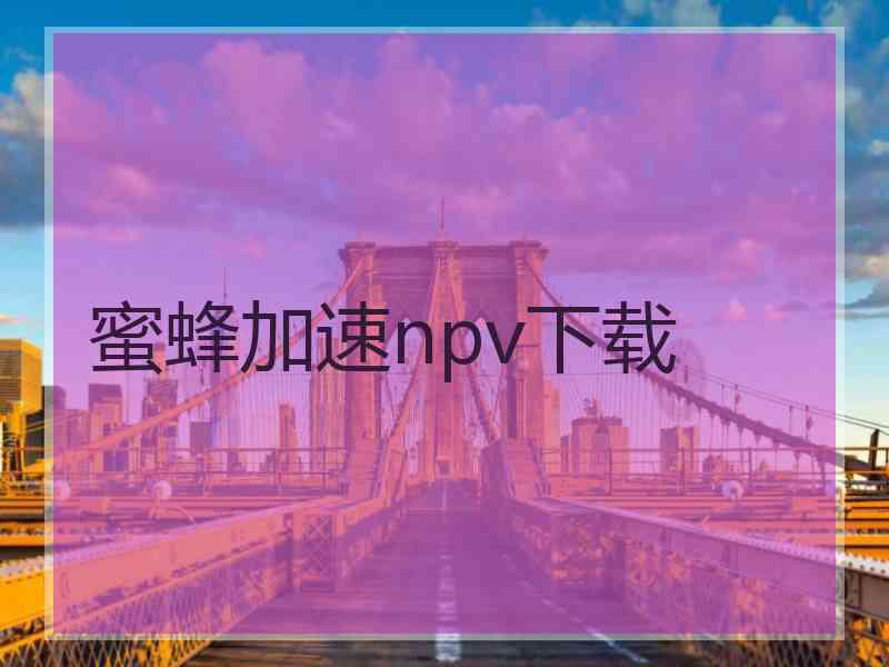 蜜蜂加速npv下载