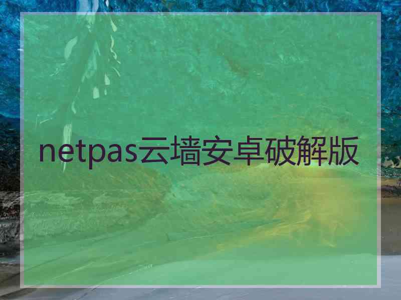 netpas云墙安卓破解版