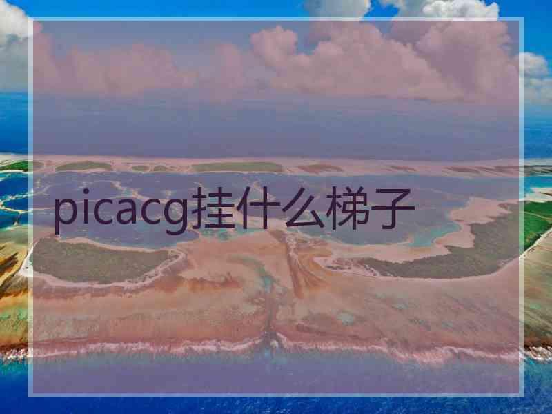 picacg挂什么梯子