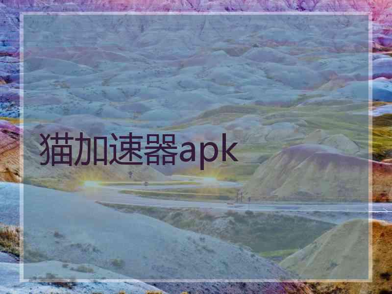 猫加速器apk