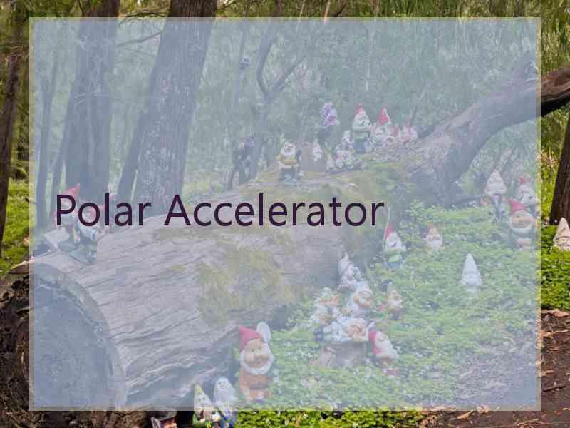 Polar Accelerator