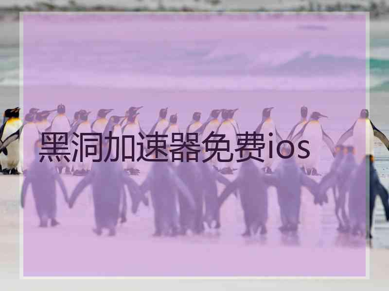 黑洞加速器免费ios