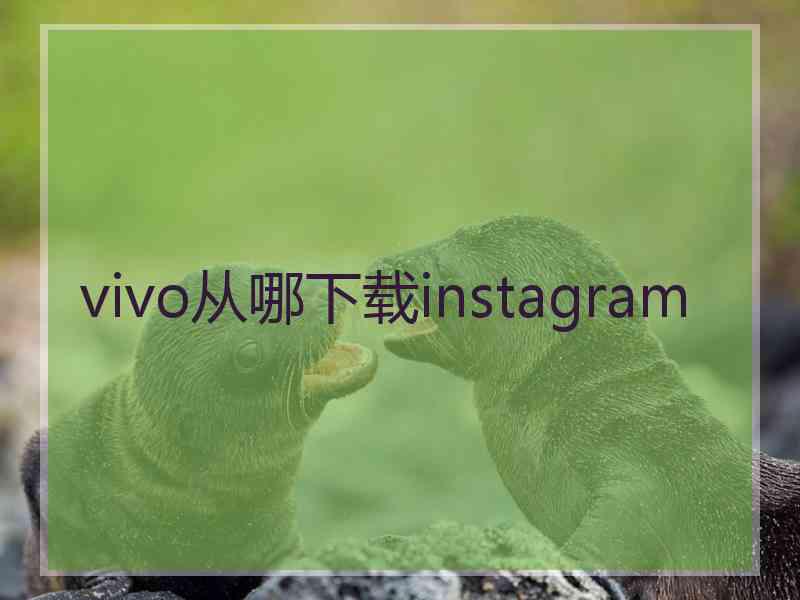 vivo从哪下载instagram