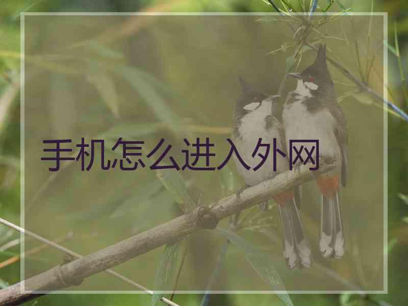 手机怎么进入外网