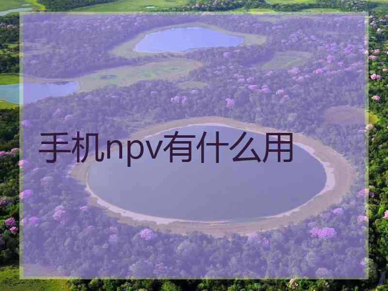 手机npv有什么用