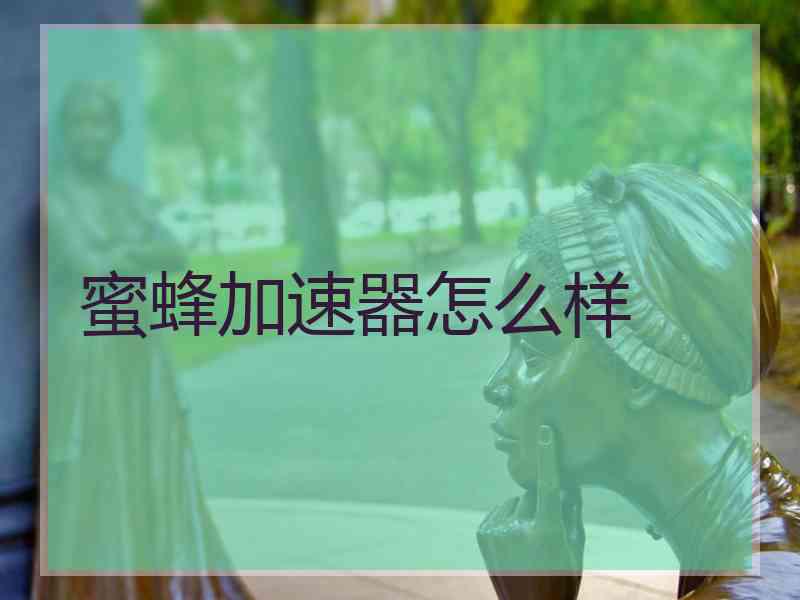 蜜蜂加速器怎么样