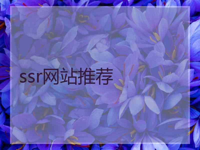 ssr网站推荐