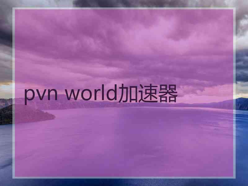 pvn world加速器