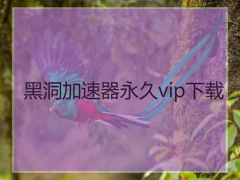 黑洞加速器永久vip下载