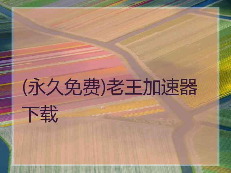 (永久免费)老王加速器下载