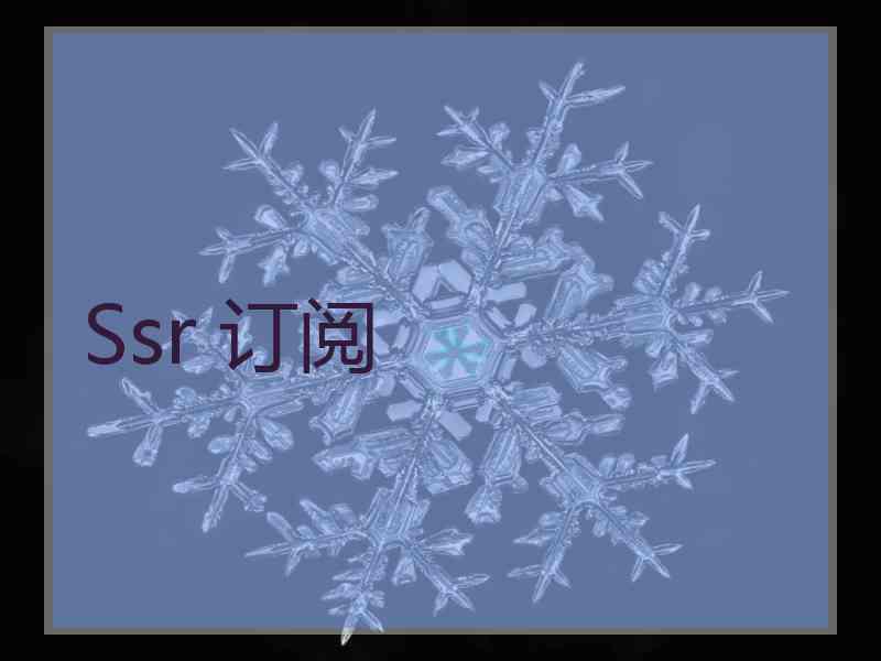 Ssr 订阅