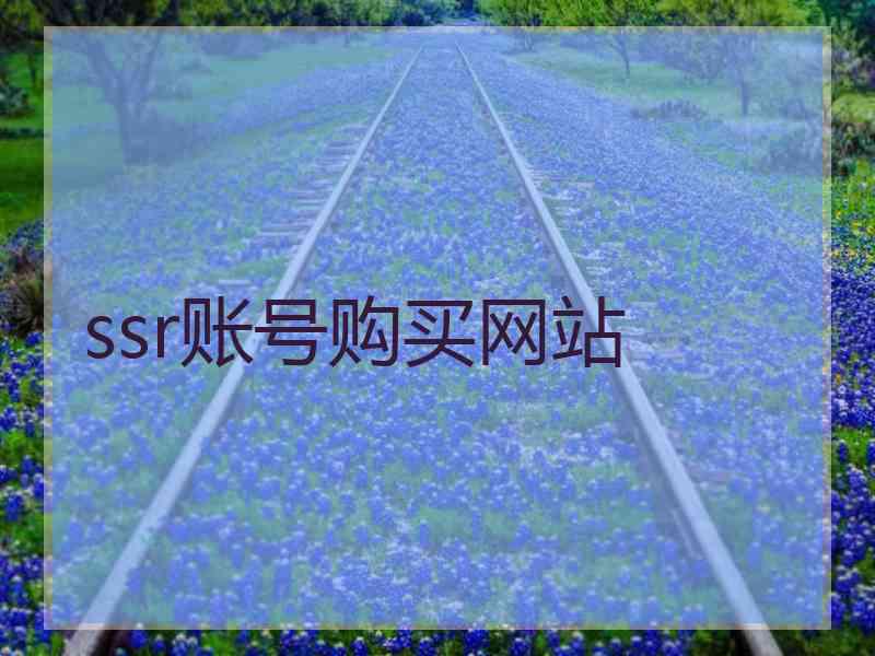 ssr账号购买网站
