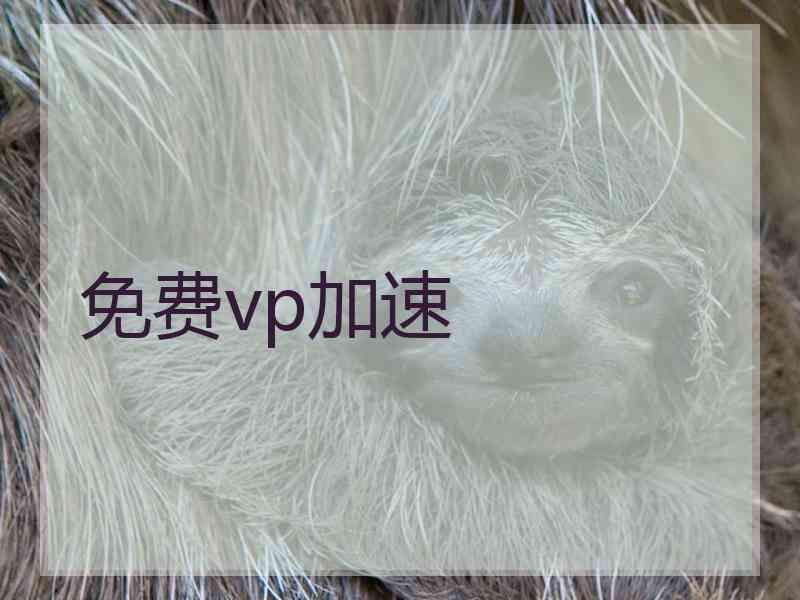 免费vp加速