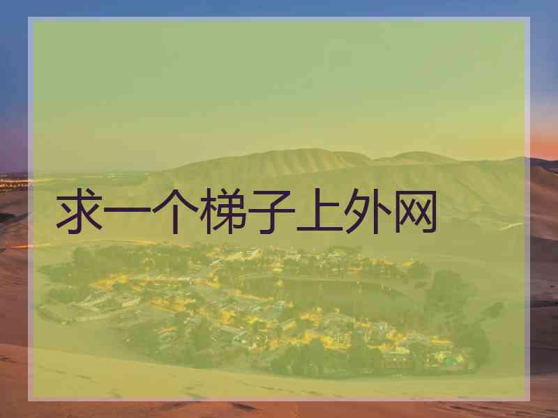 求一个梯子上外网