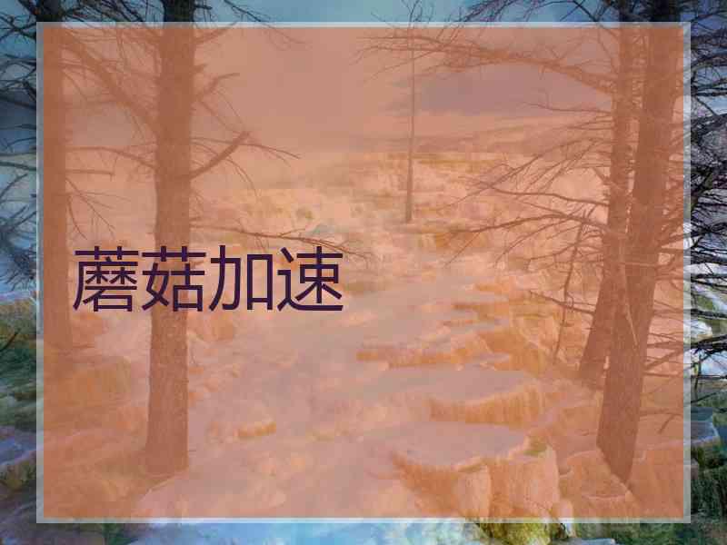 蘑菇加速