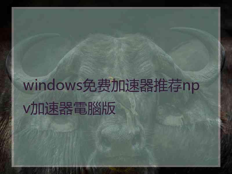 windows免费加速器推荐npv加速器電腦版