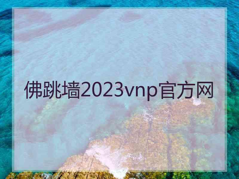 佛跳墙2023vnp官方网