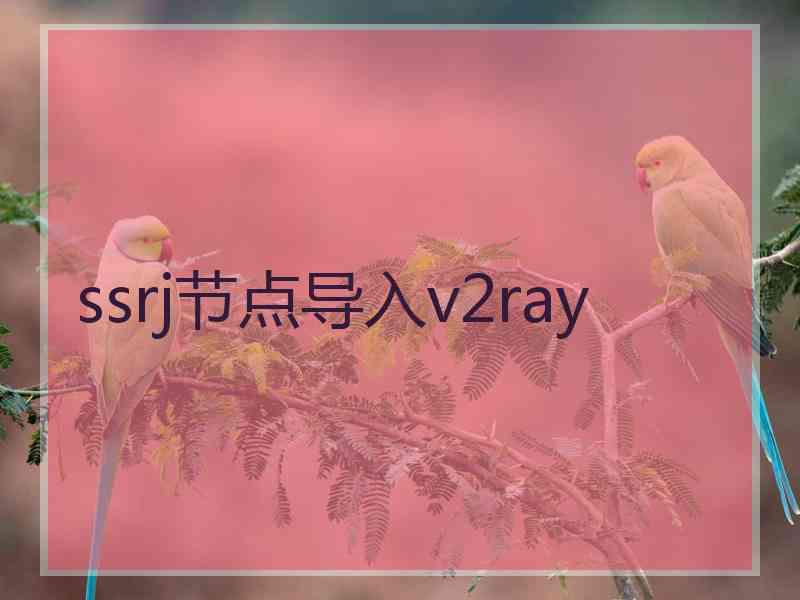 ssrj节点导入v2ray