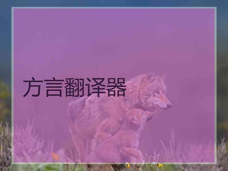 方言翻译器