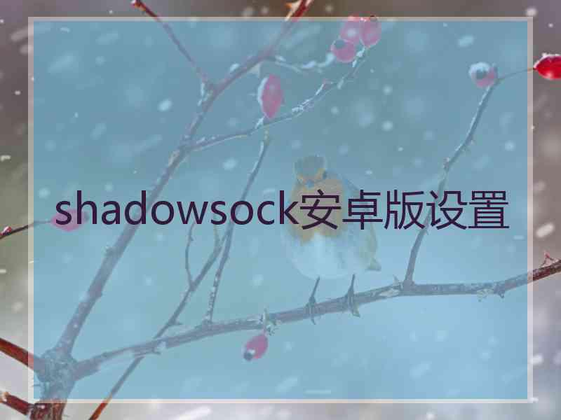 shadowsock安卓版设置