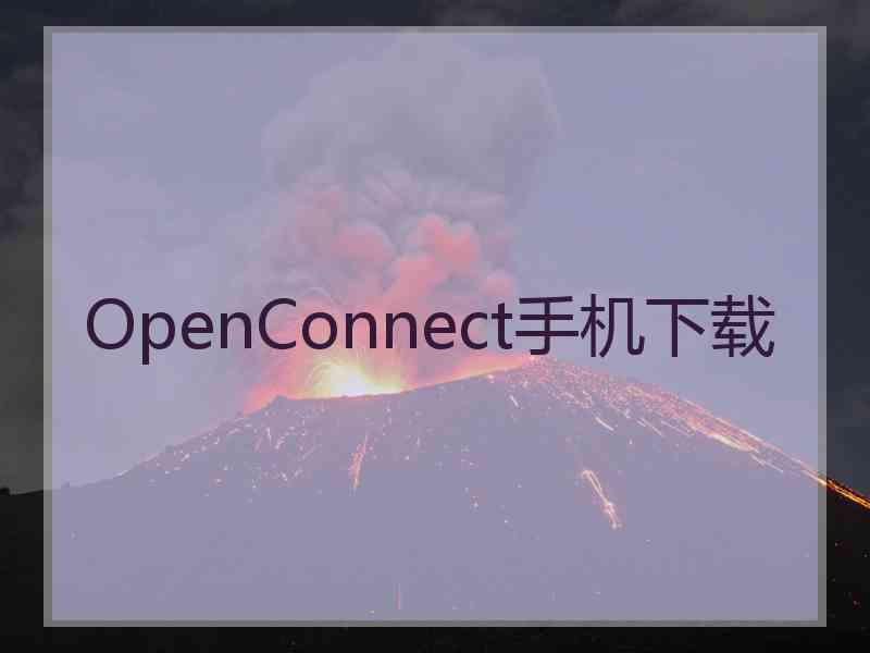 OpenConnect手机下载