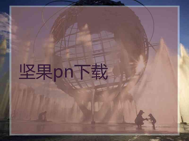 坚果pn下载