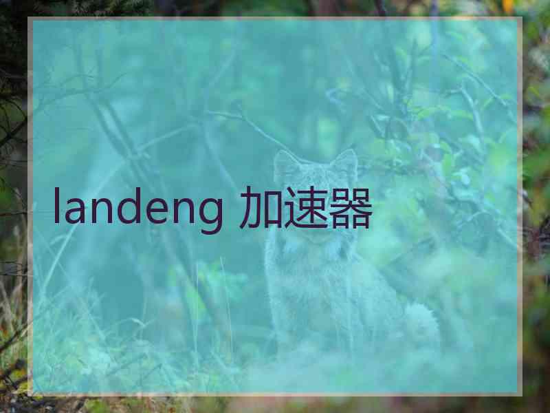 landeng 加速器