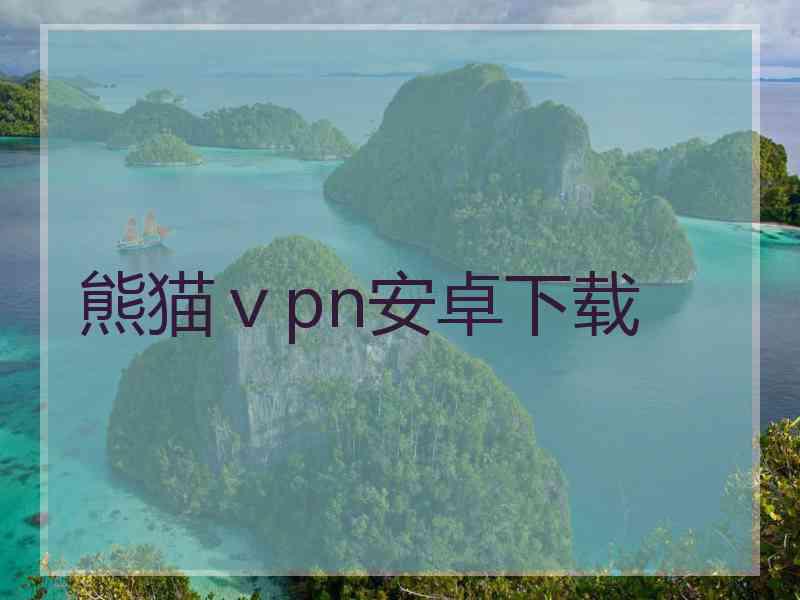 熊猫ⅴpn安卓下载