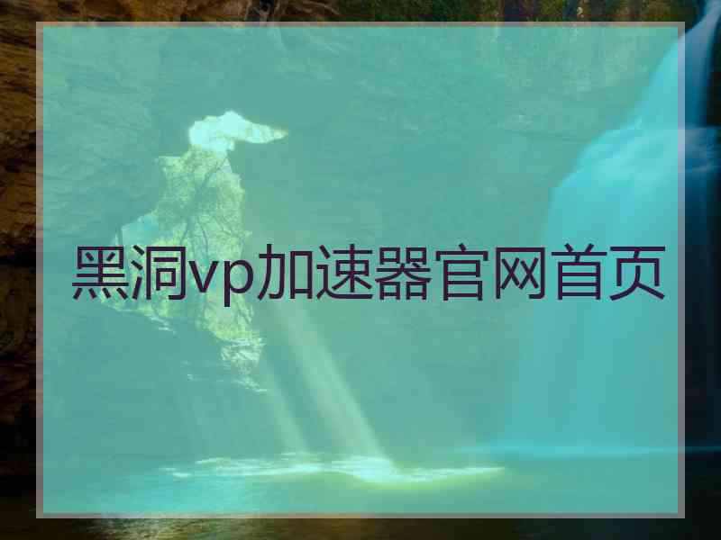 黑洞vp加速器官网首页