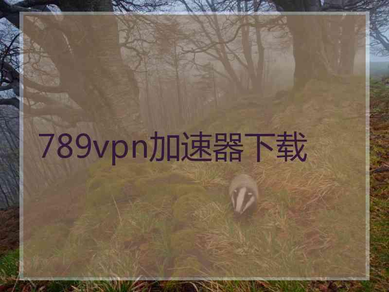 789vpn加速器下载