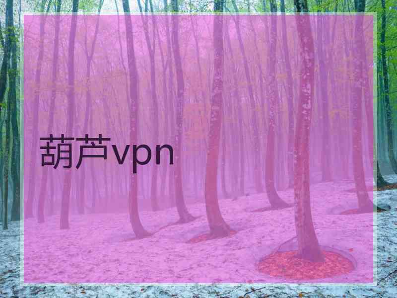 葫芦vpn