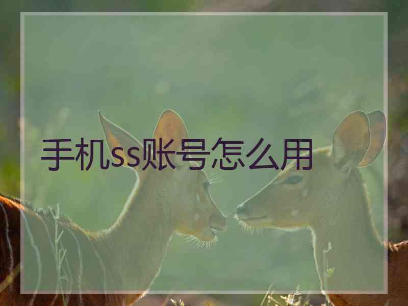 手机ss账号怎么用