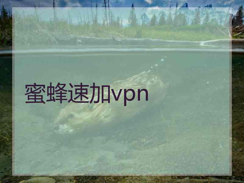 蜜蜂速加vpn