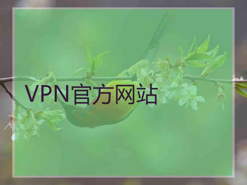 VPN官方网站