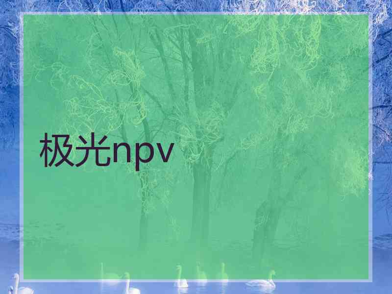 极光npv