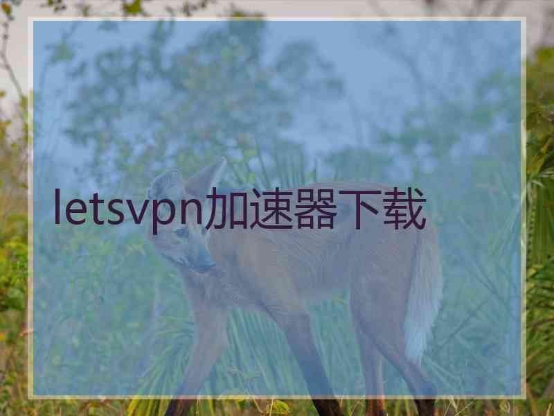 letsvpn加速器下载