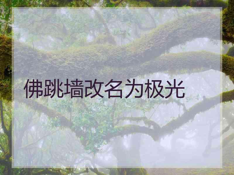 佛跳墙改名为极光