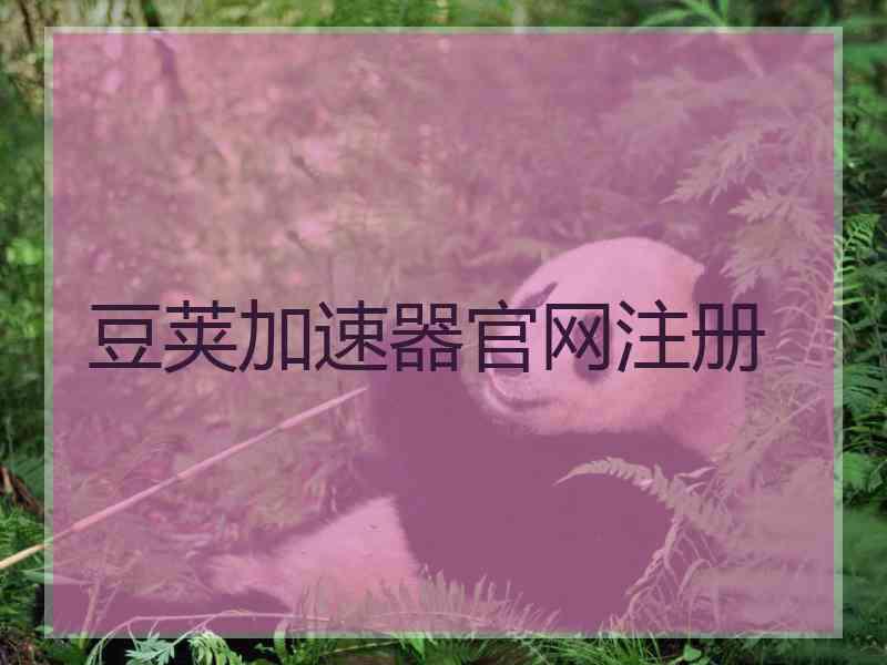 豆荚加速器官网注册