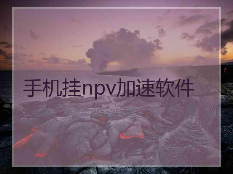 手机挂npv加速软件