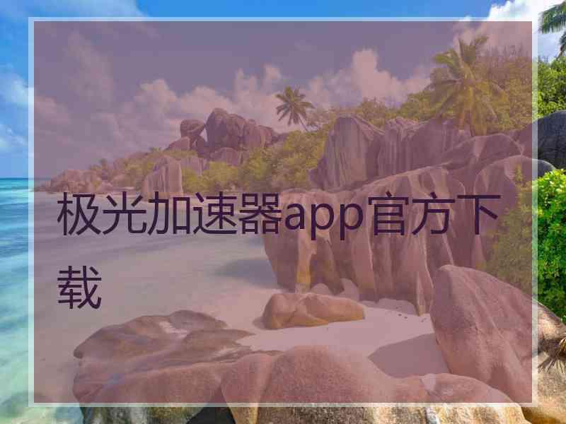 极光加速器app官方下载