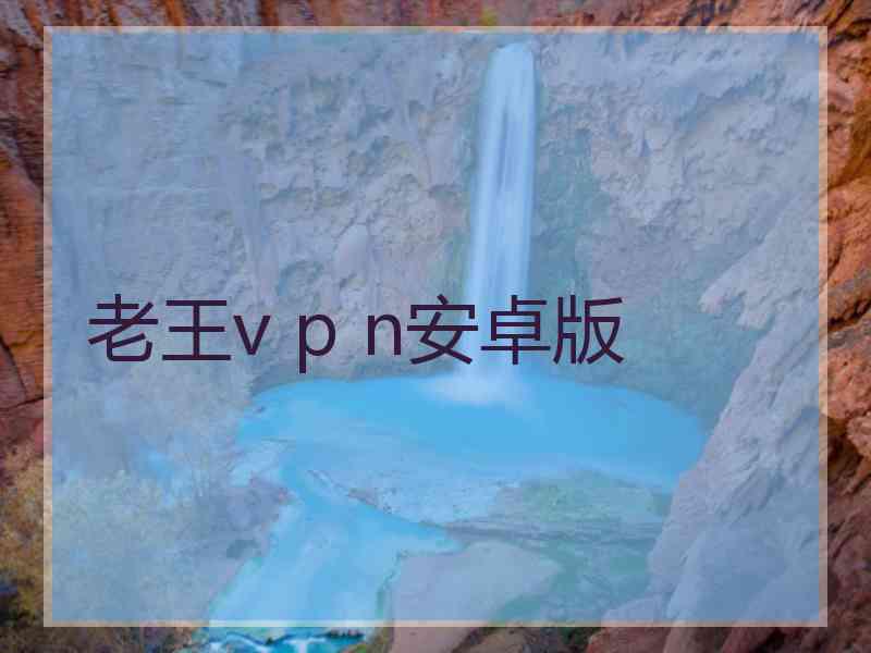 老王v p n安卓版
