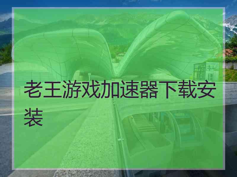 老王游戏加速器下载安装